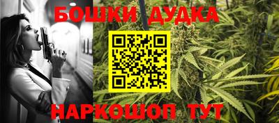 индика Пугачёв