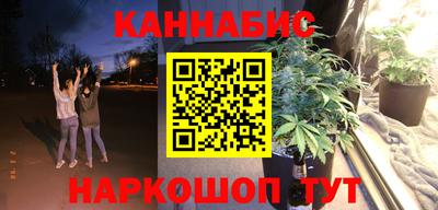 индика Пугачёв
