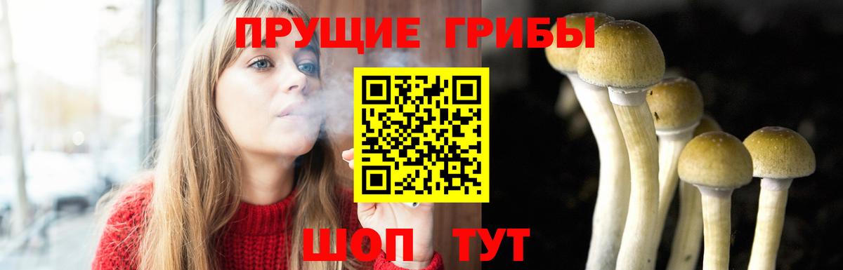 как найти закладки  Галлюциногенные грибы мицелий  Вход с VPN  Сызрань 